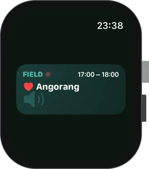 Smart Stack widget — Field